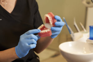 Se ven las manos de un dentista enseñando una mandíbula